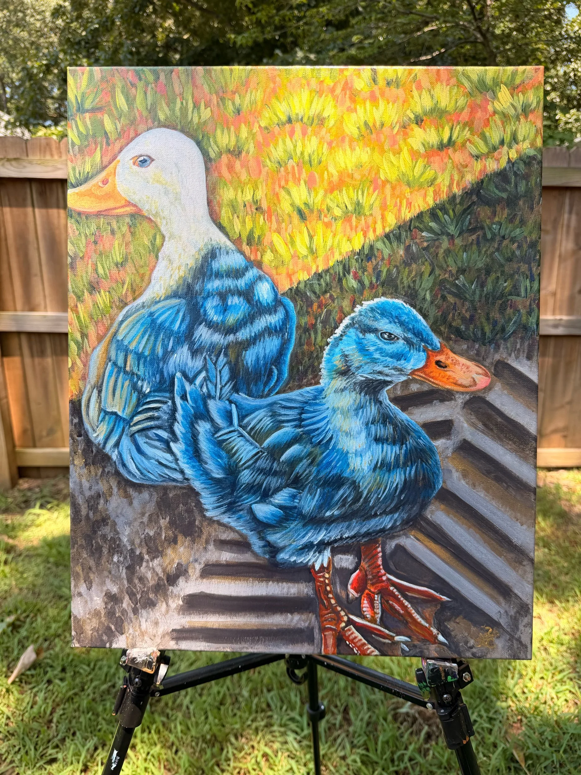 Duck Duality-Original Painting 16x20