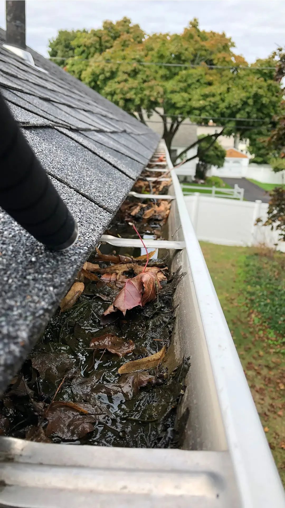 Gutter Cleaning