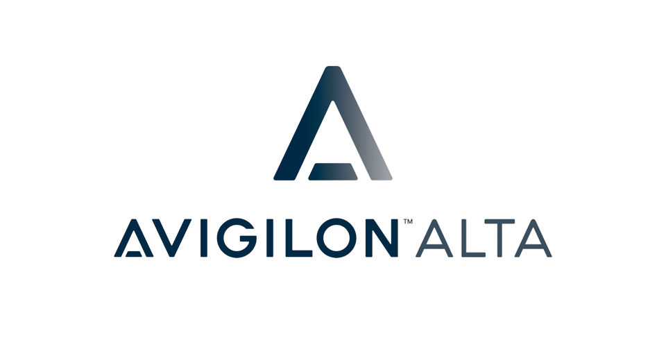 avigilondata.png