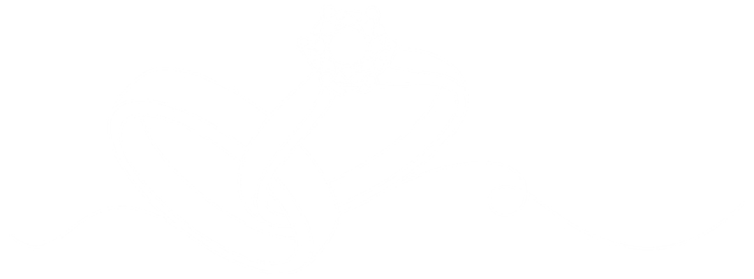 Line drawing of a wedding ring with a diamond, on a black background.