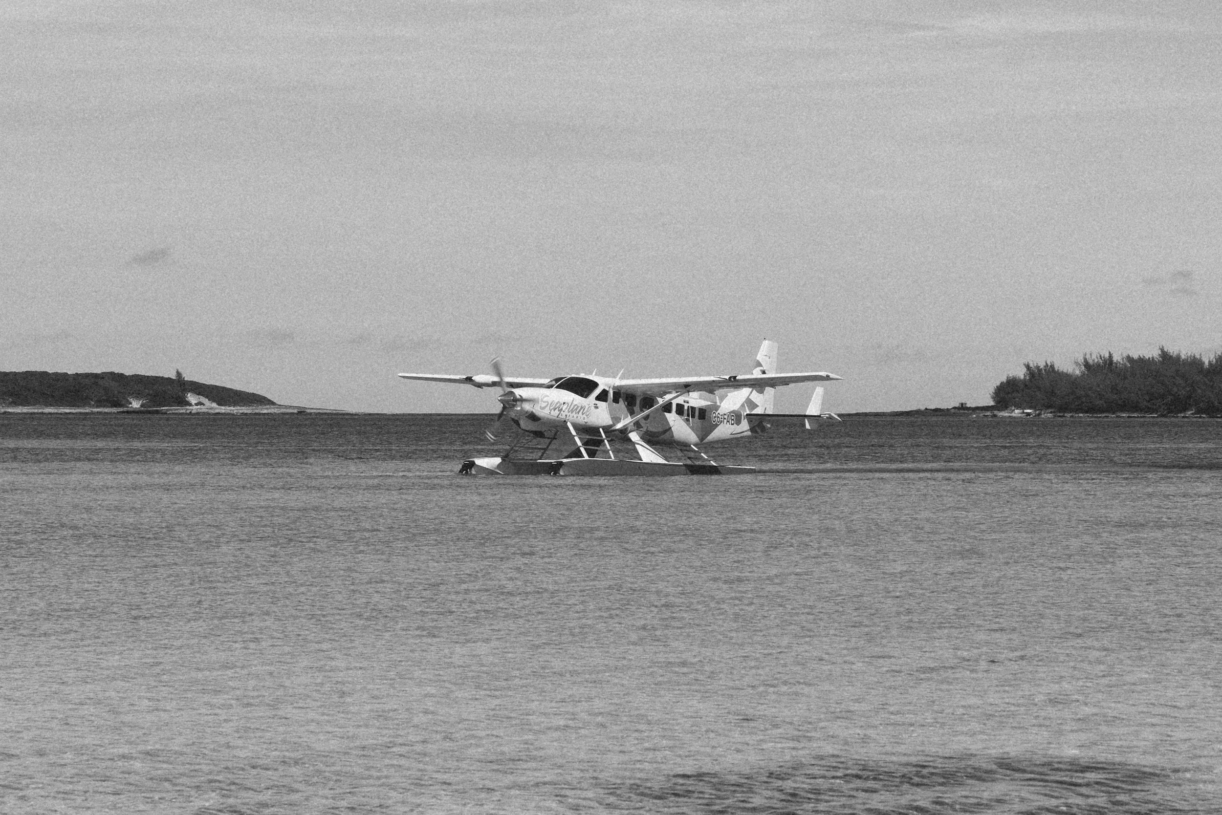 C80A1423.jpg