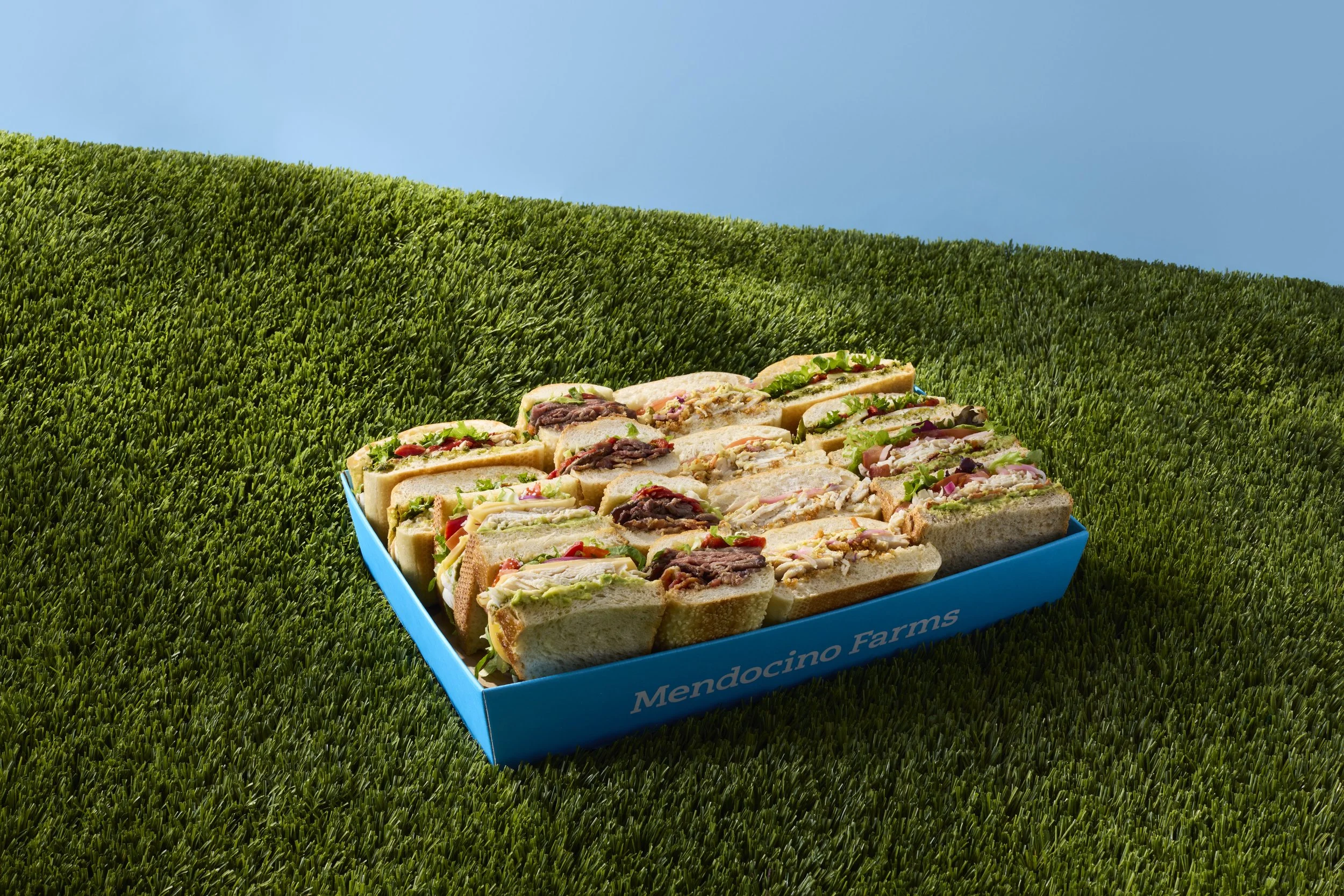 20251209_Mendocino-Farms_Set-B_Group2-ADED-Salad_GOAT-Salad_BBQ-Sandwich_0670_v2.jpeg