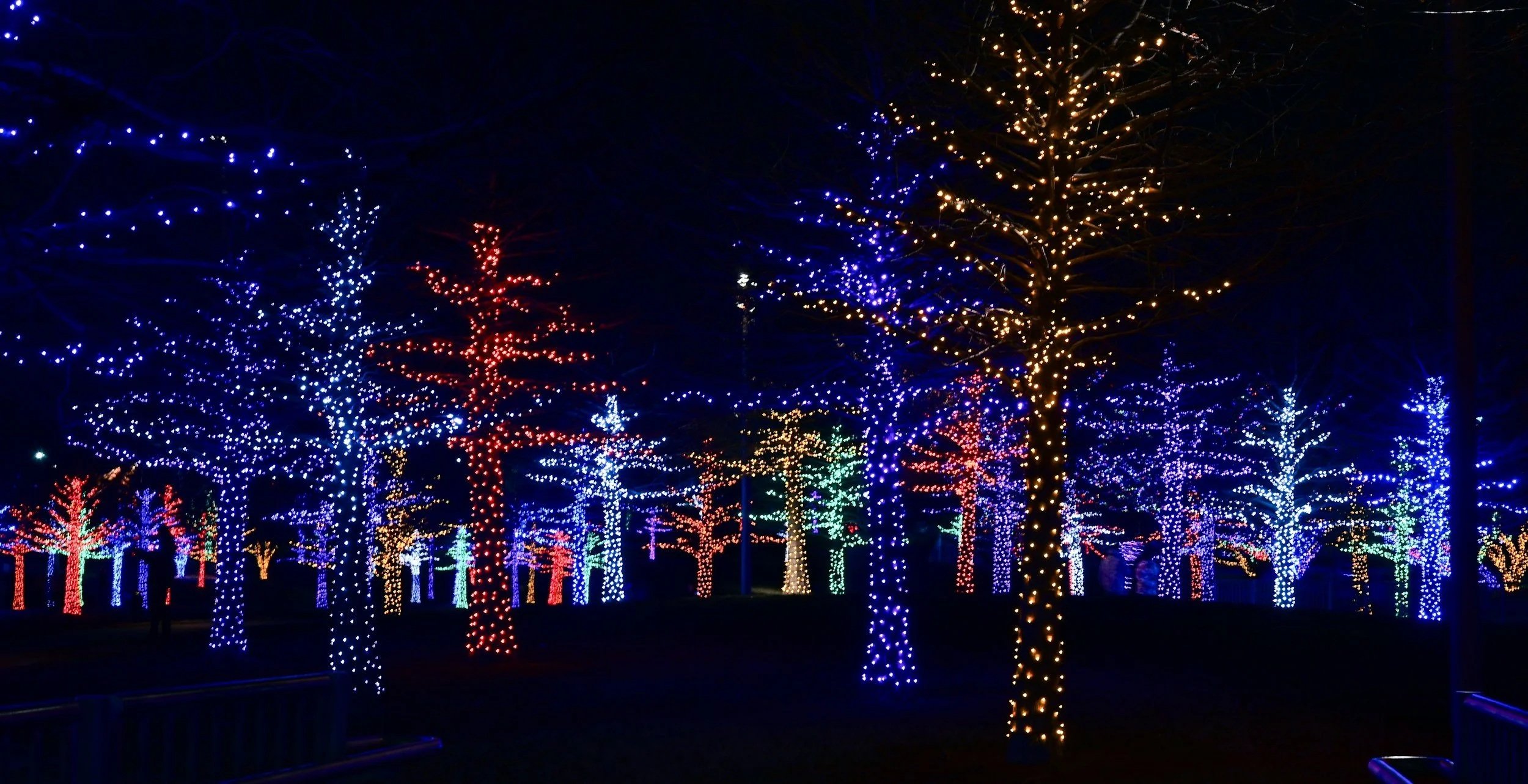 custom holiday lights installed by Lumen Holiday Lighting in Ridgefield, Washington.