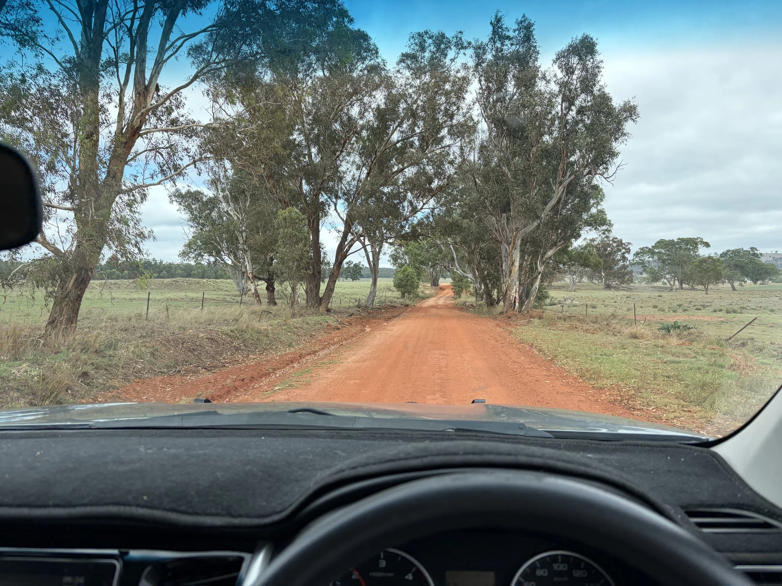 View from inside a car looking out onto a dirt road lined with tall trees and open fields under a partly cloudy sky.