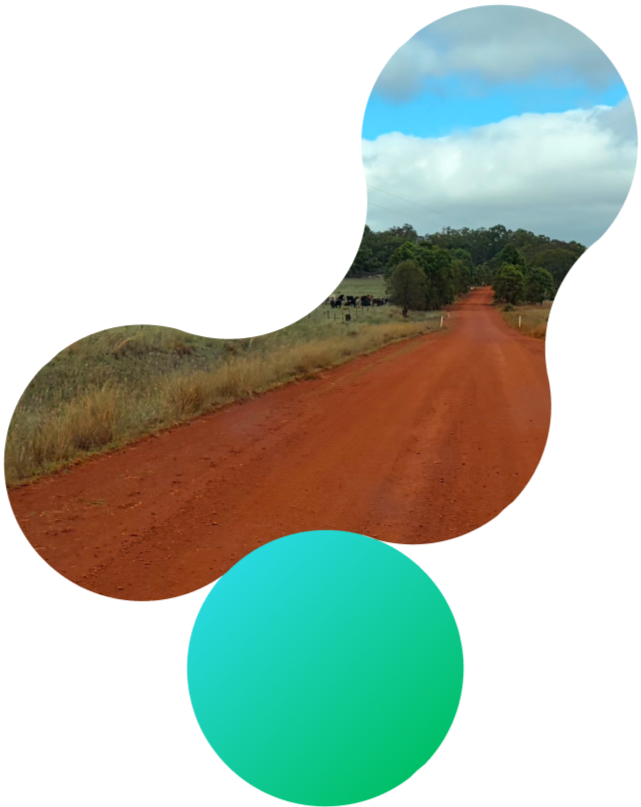 A dirt road in a rural area with trees on both sides, under a blue sky with scattered clouds.