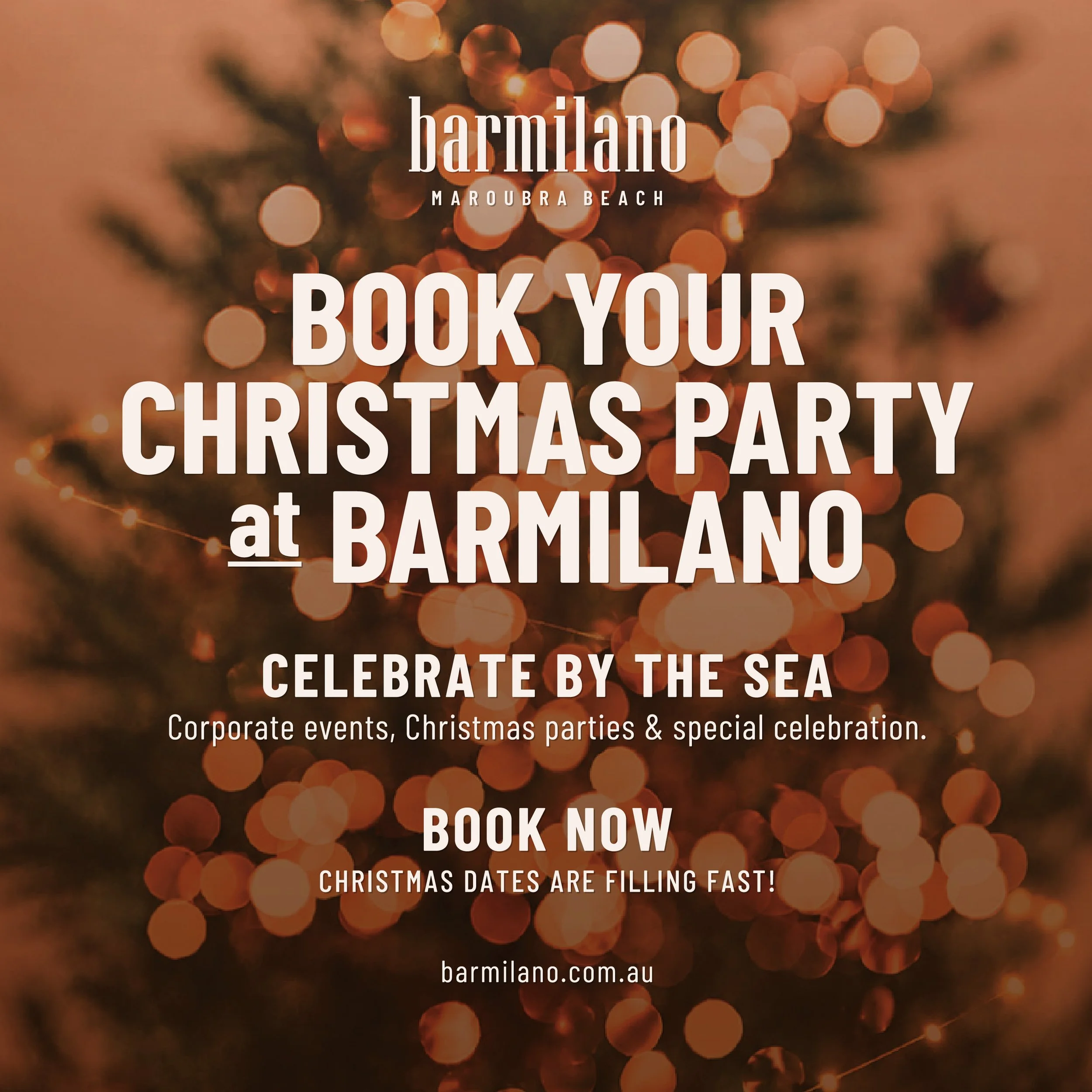 CHRISTMAS PARTIES AT BARMILANO