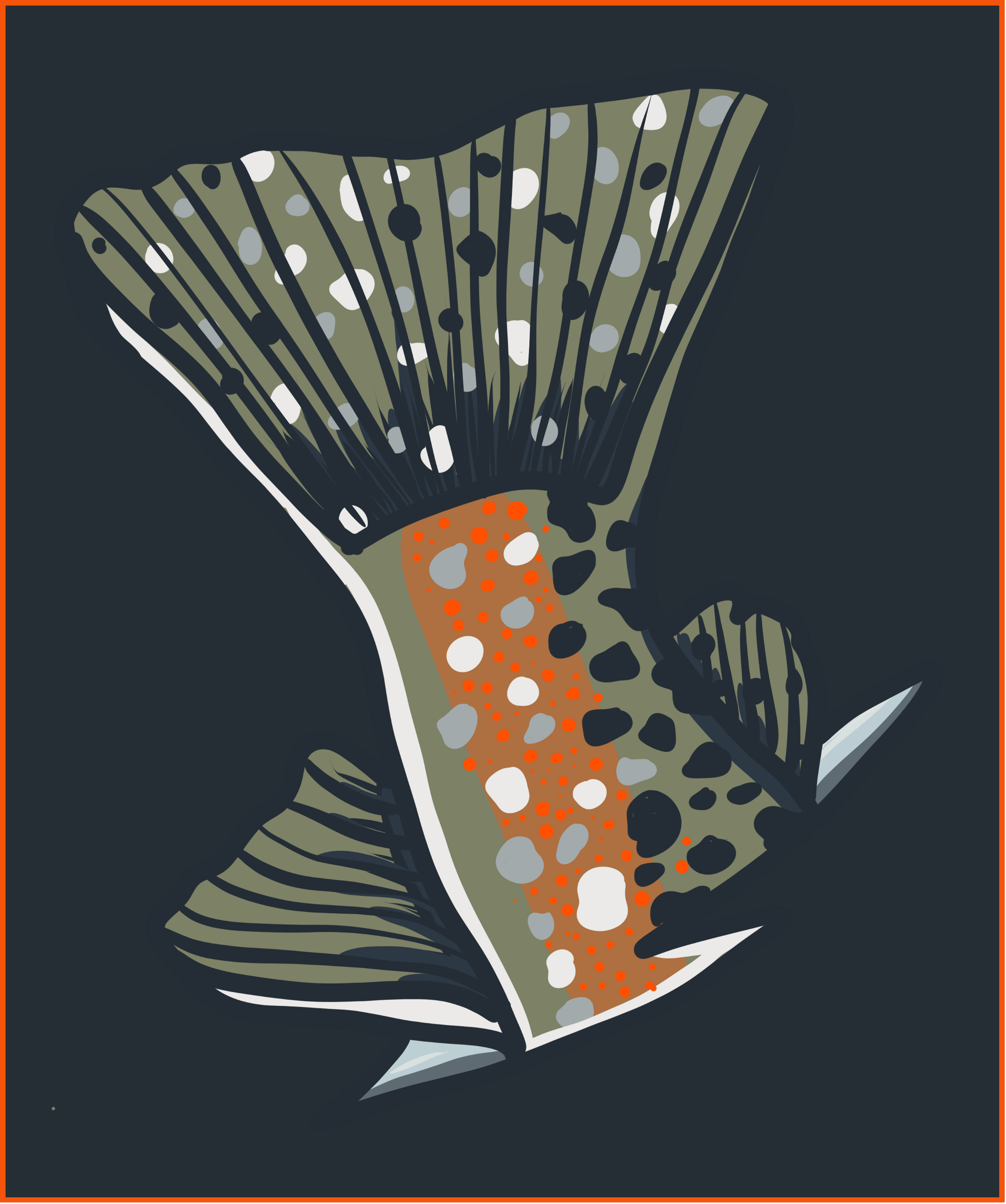 Stylized fish illustration used in Dilly Dahle Custom Rods outdoor-inspired branding.