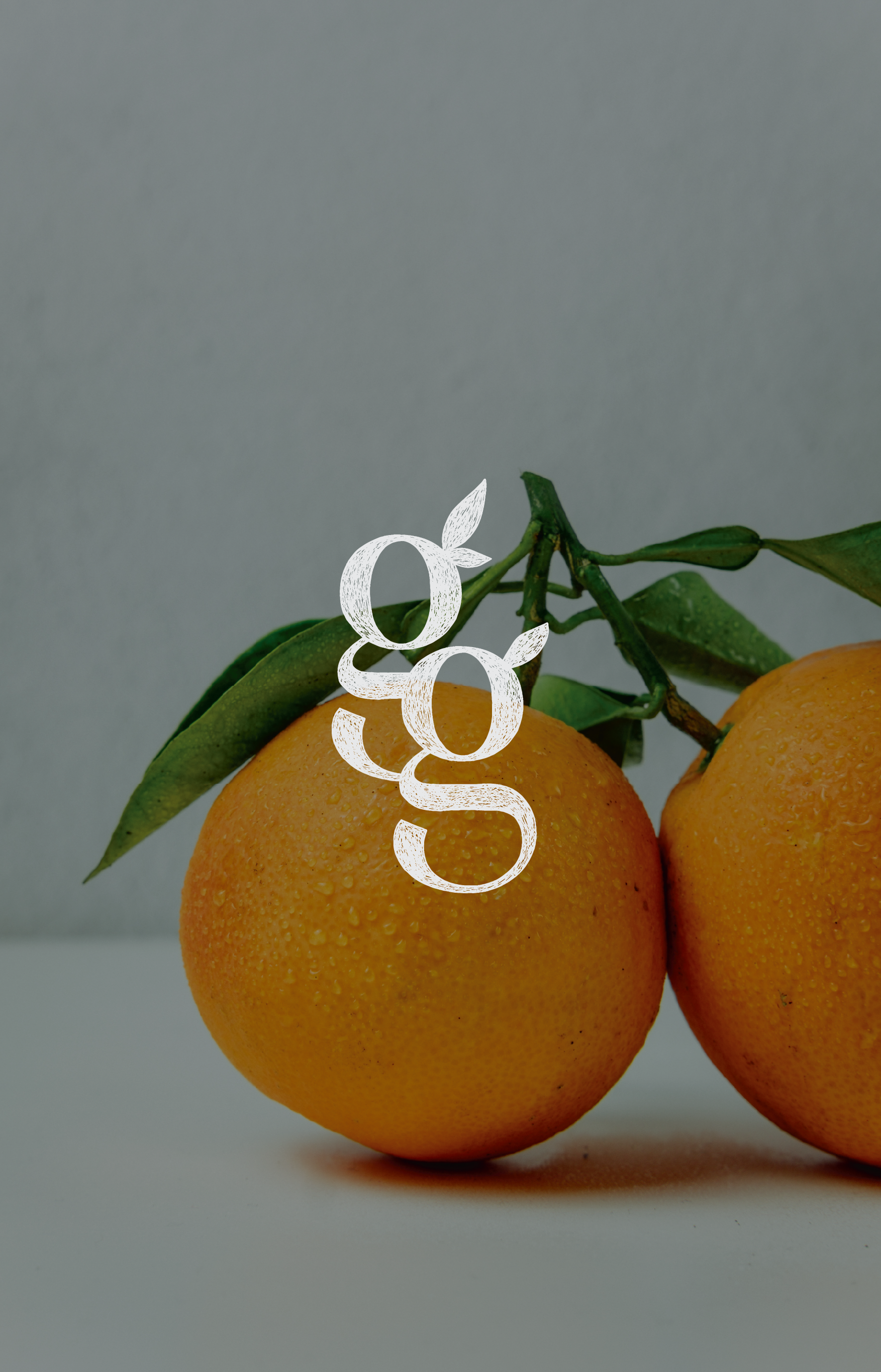 Green Grove Home Wellness Logo.png