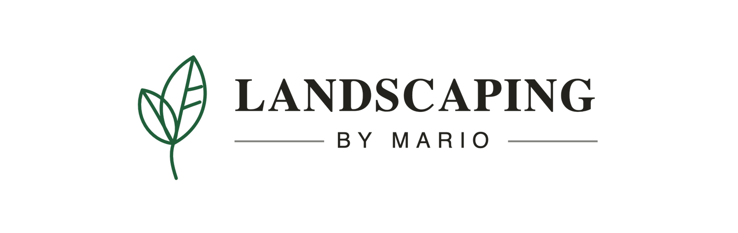 Landscaping By Mario