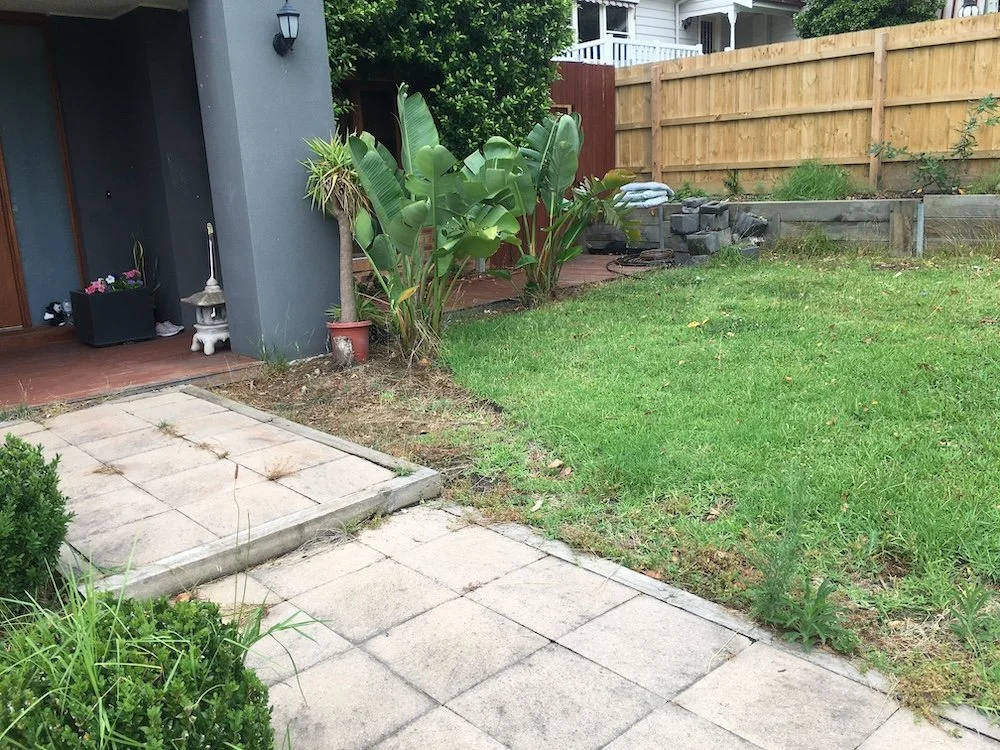 Overgrown front lawn and weedy paving before a garden clean-up in Mitcham
