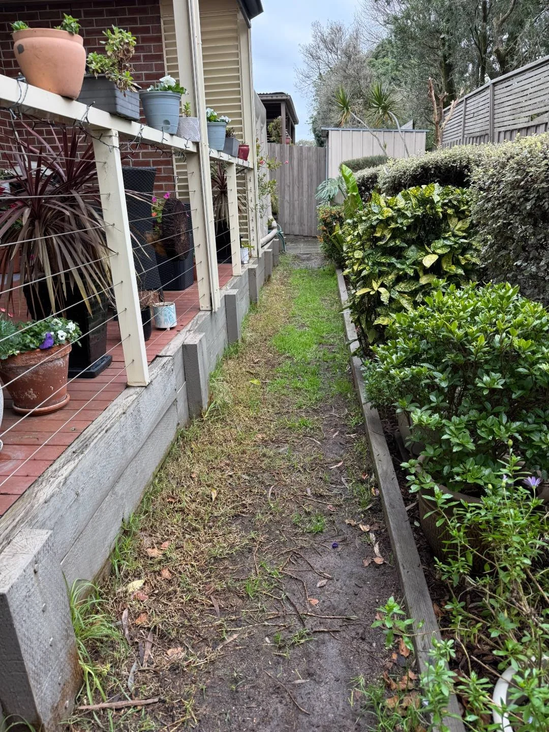Worn, muddy grass side path before a stepping stone path was laid in Ferntree Gully