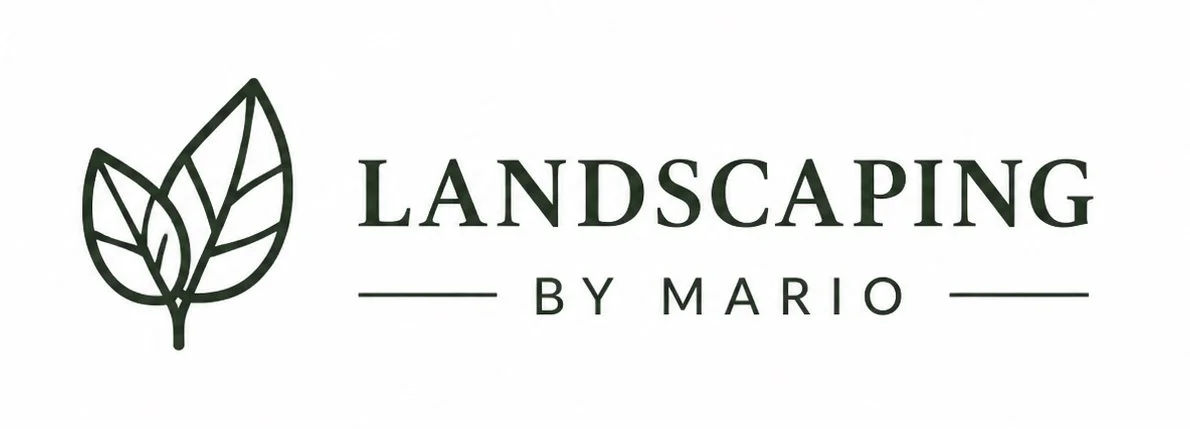 Landscaping By Mario