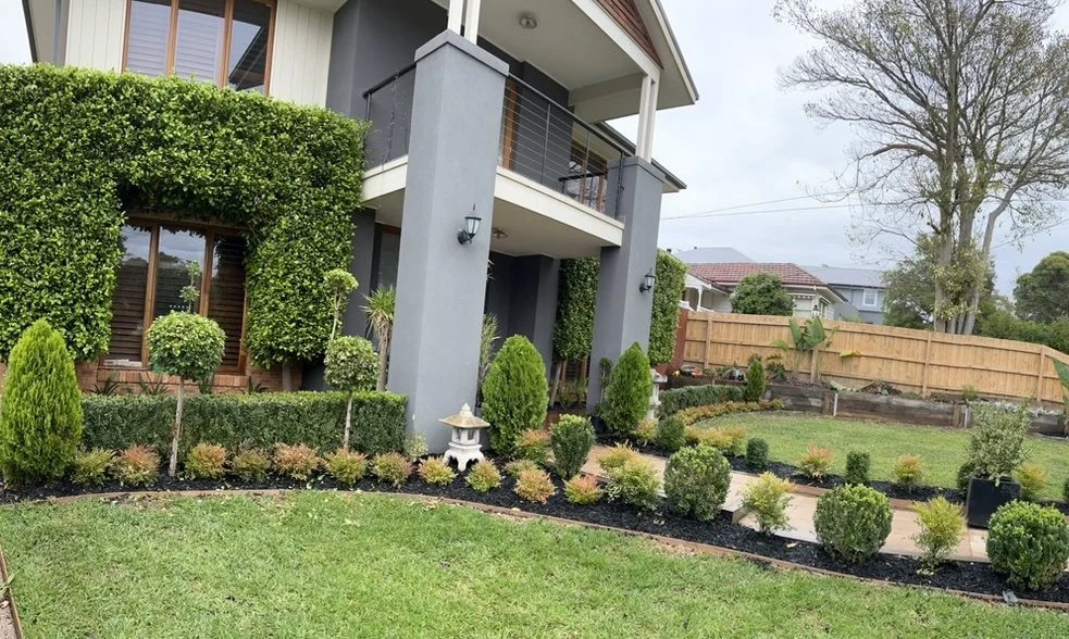 Manicured front garden with clipped topiary and tidy beds after a Mitcham clean-up