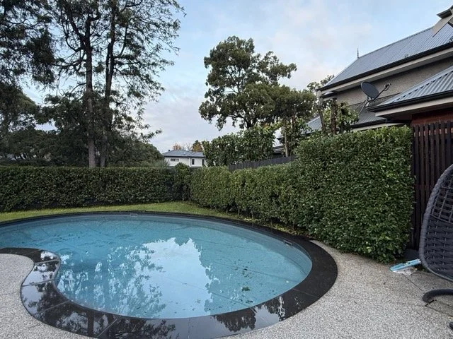 Hedged pool area after a backyard tidy-up in Blackburn