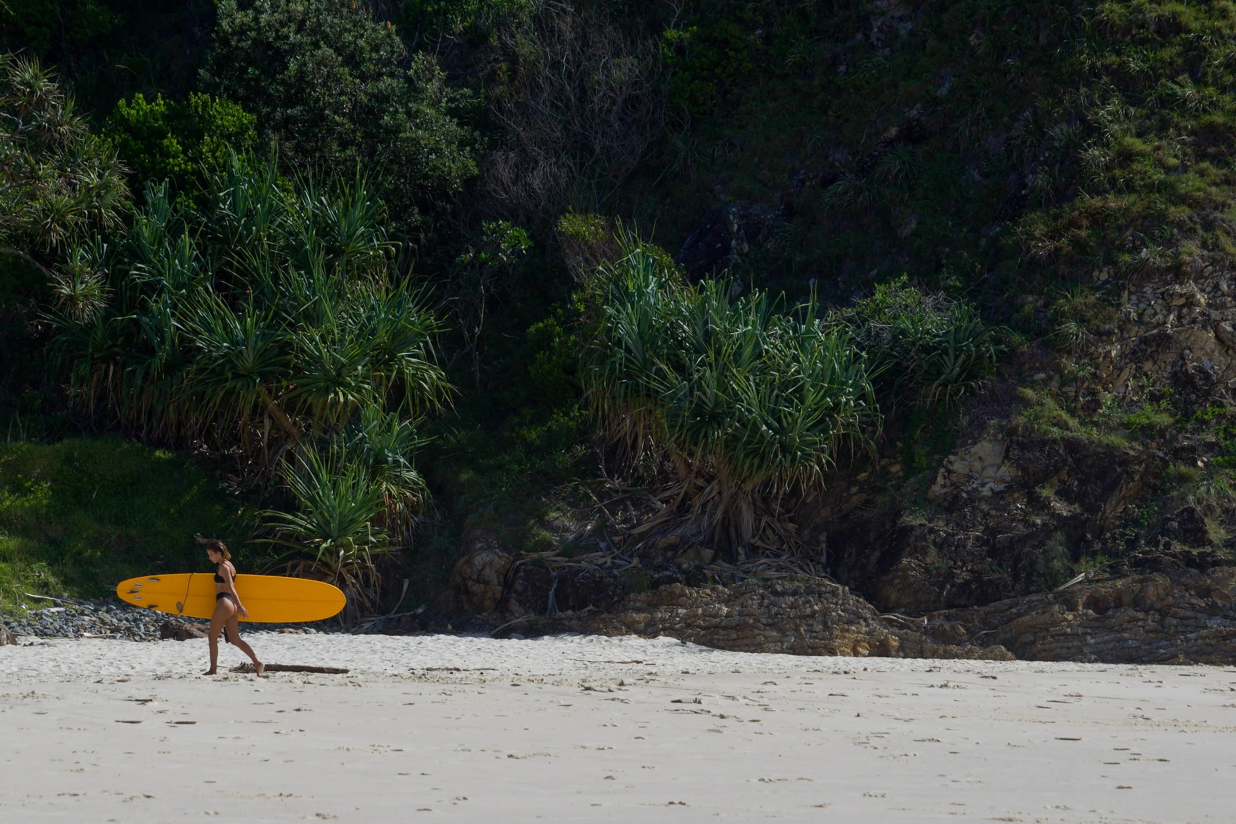 Wateogs beach Byron bay NSW lifestyle shot .