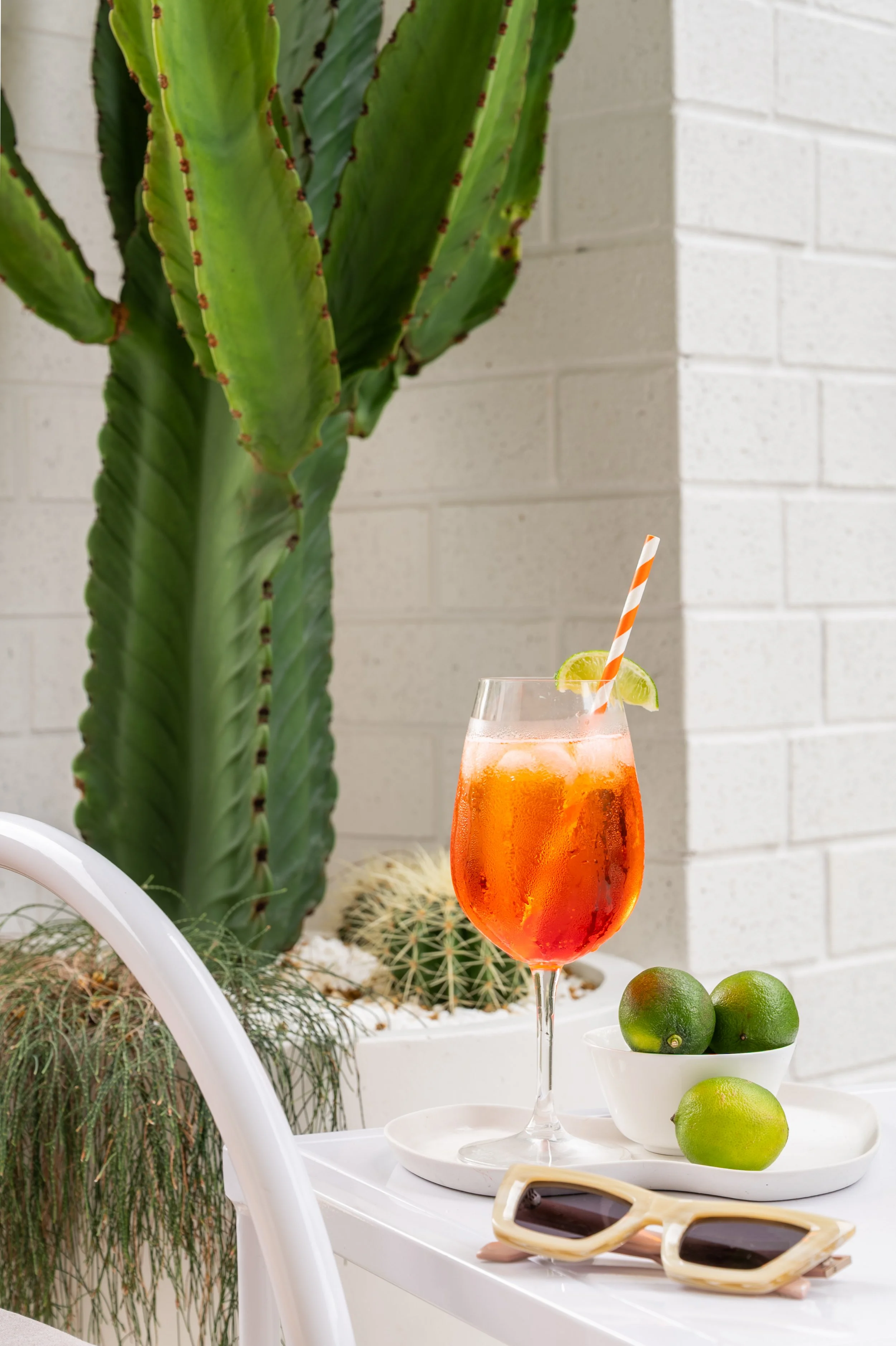 Interior design shoot for Palm Springs in Gold Coast Queensland .