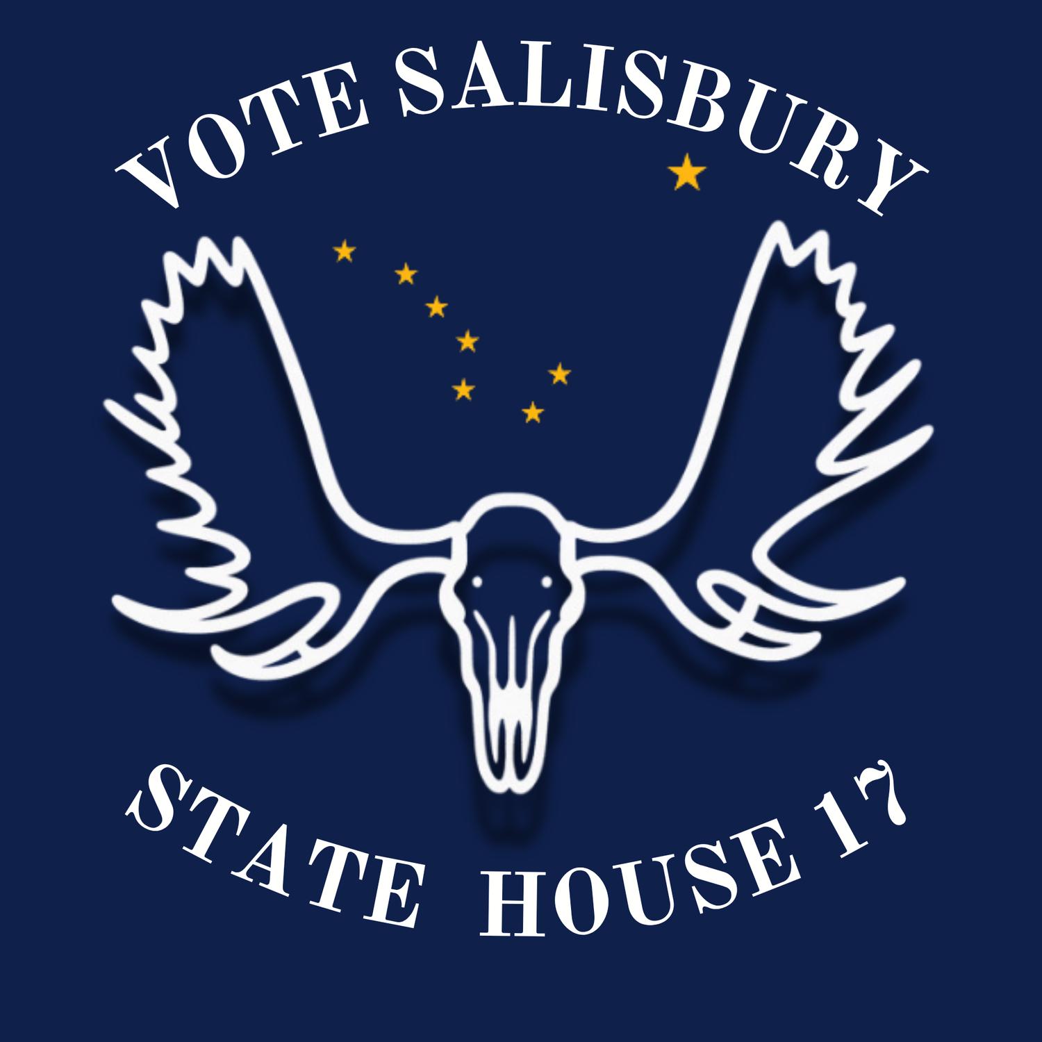 Matthew Salisbury for State House District 17