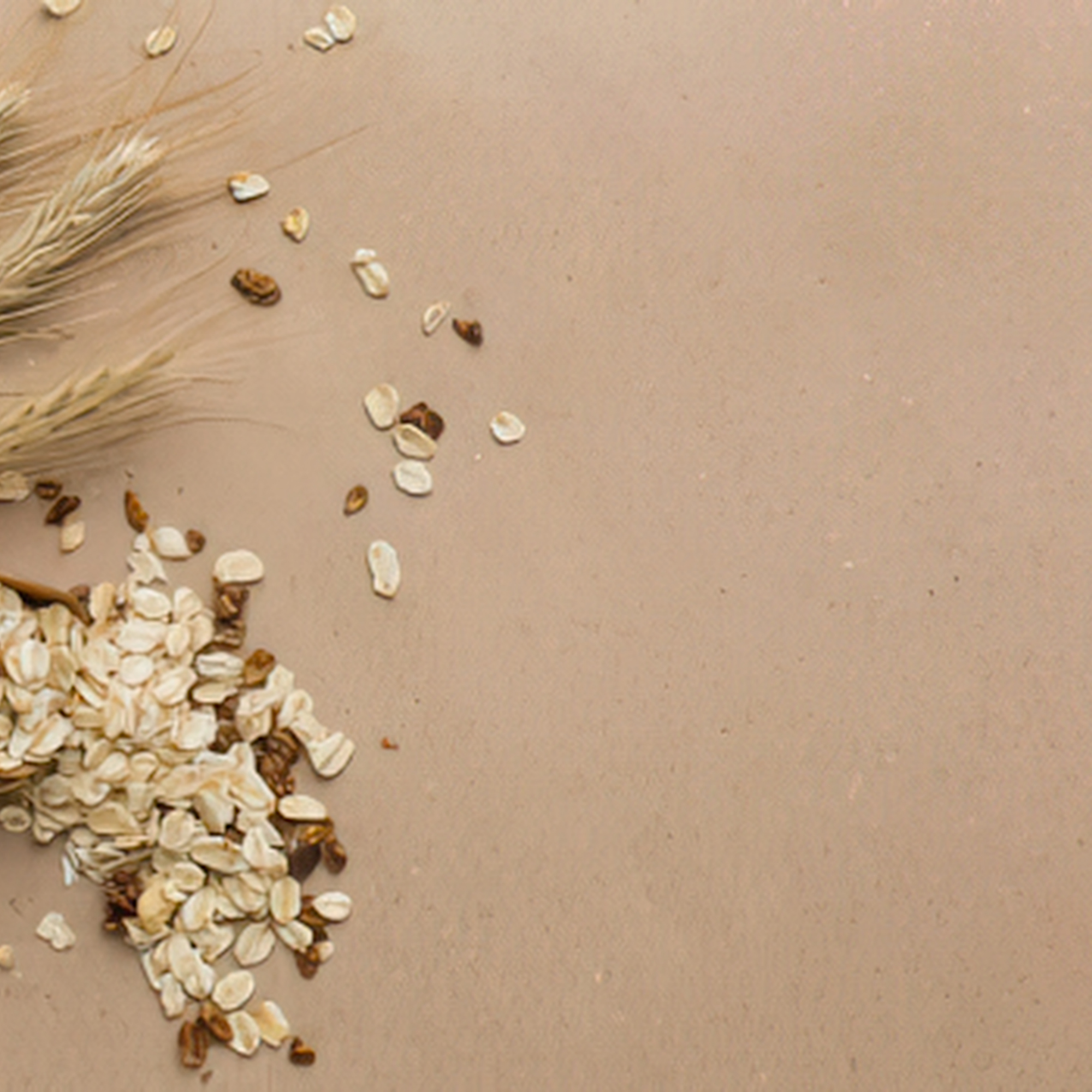 OATS : The Everyday Superfood
