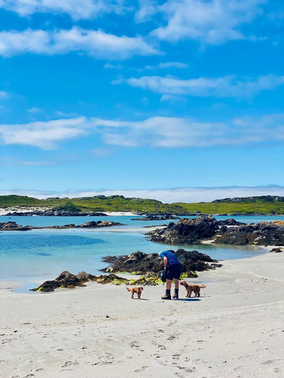 Dogs love visiting Colonsay as much as humans.... perhaps more!