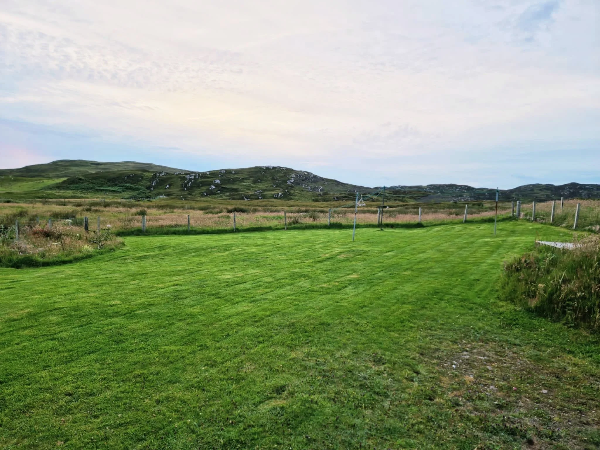The garden