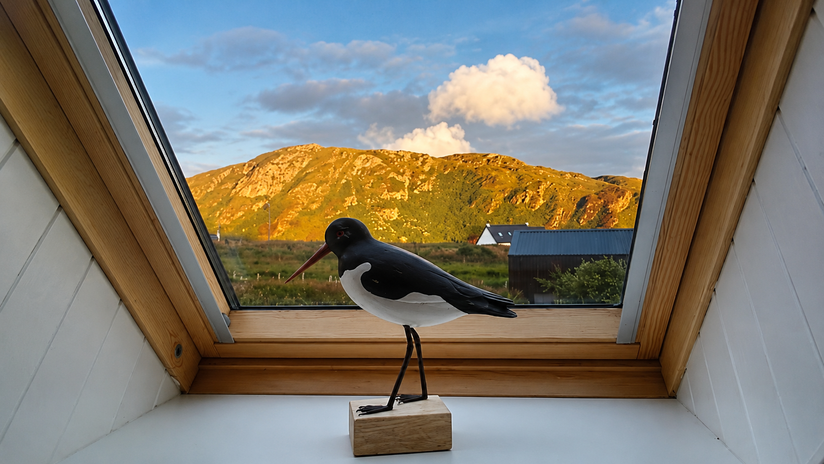 View from the living room.png