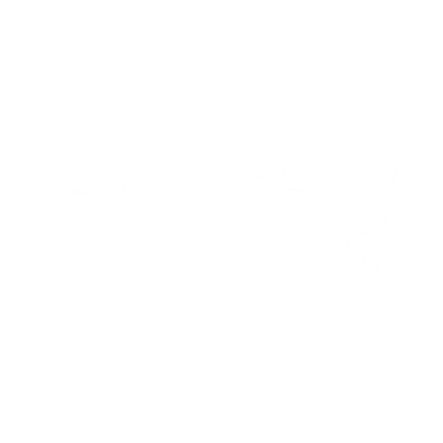 Panacea Aesthetics & Wellness