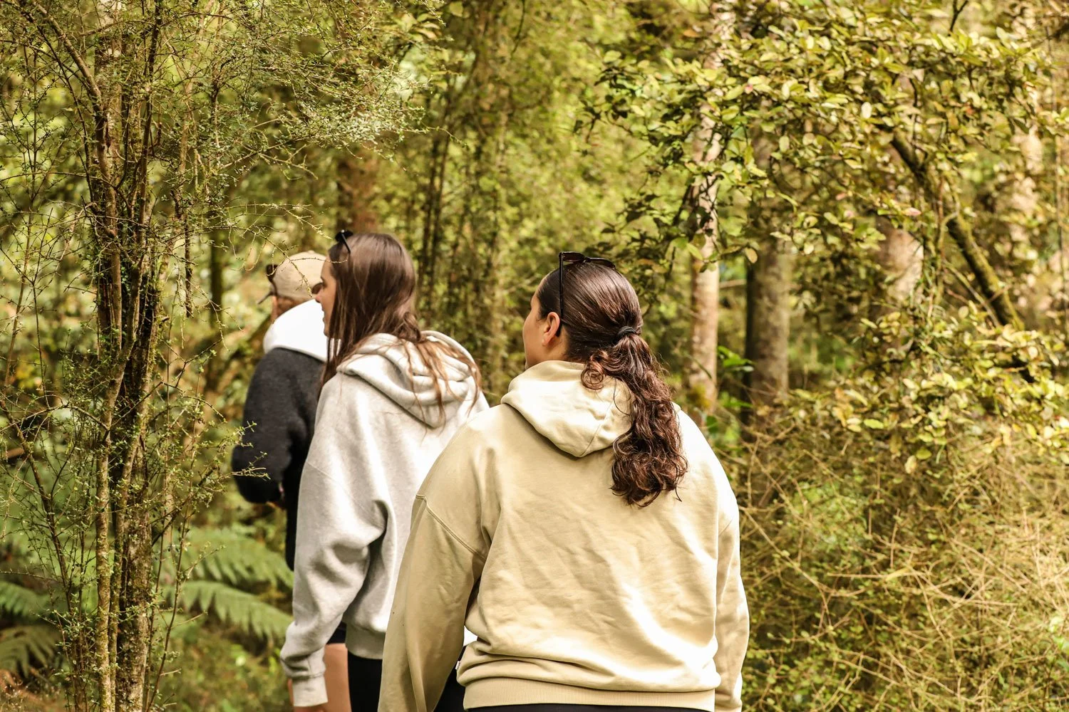 Three friends walking through a lush green forest, wearing hoodies.