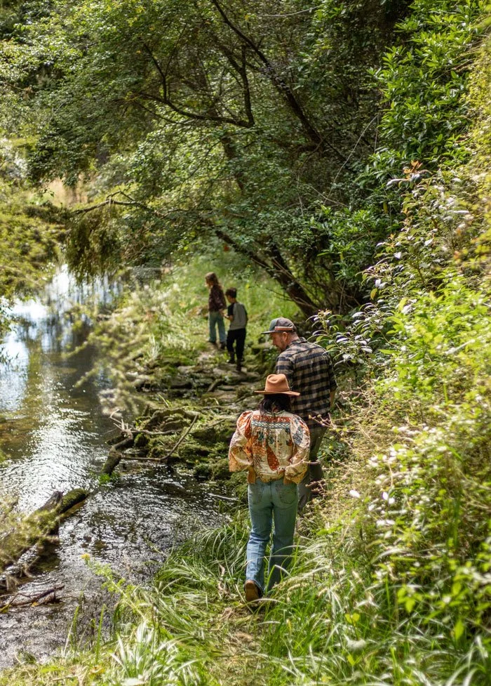 People hiking along a forested riverbank on a narrow trail surrounded by lush greenery.