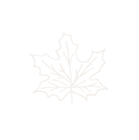 White outline of a maple leaf on a black background.
