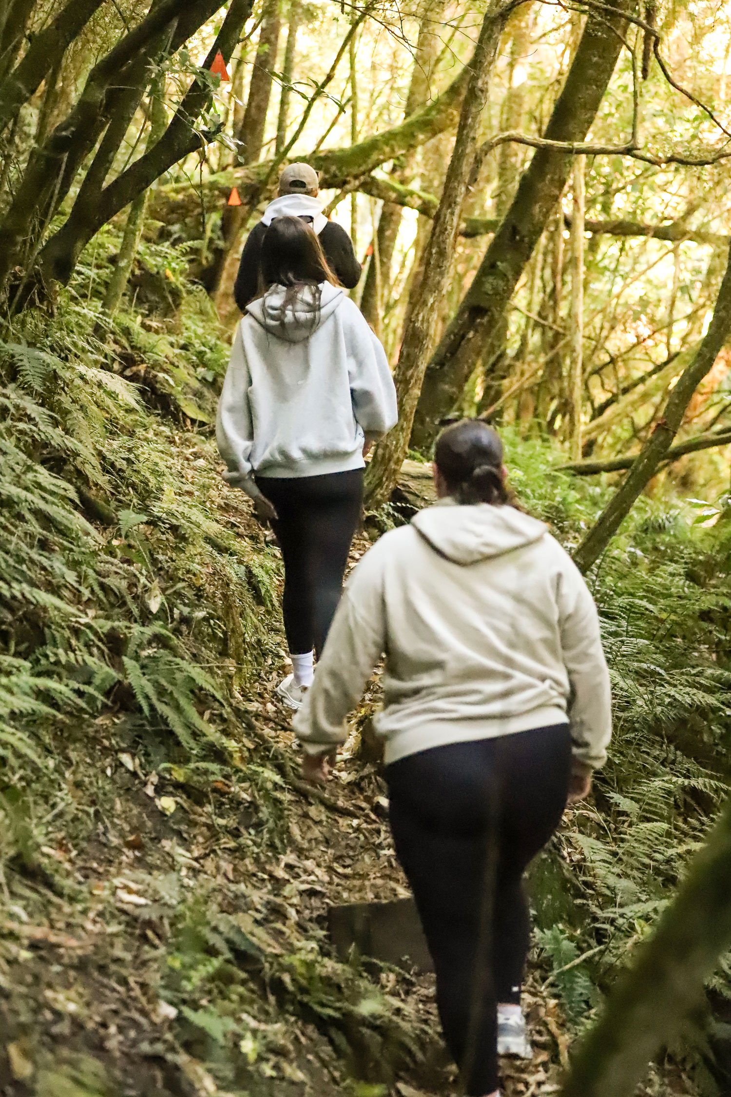 Three people hiking on a forest trail surrounded by trees and greenery.
