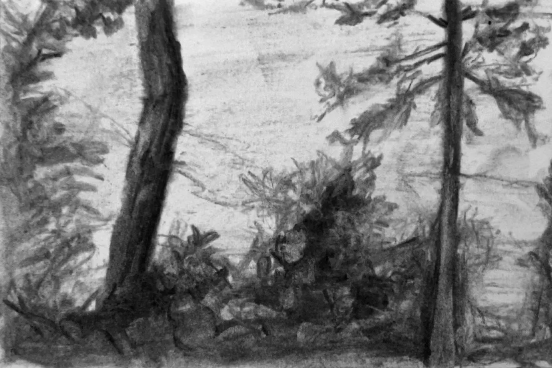 image11 (1).jpeg