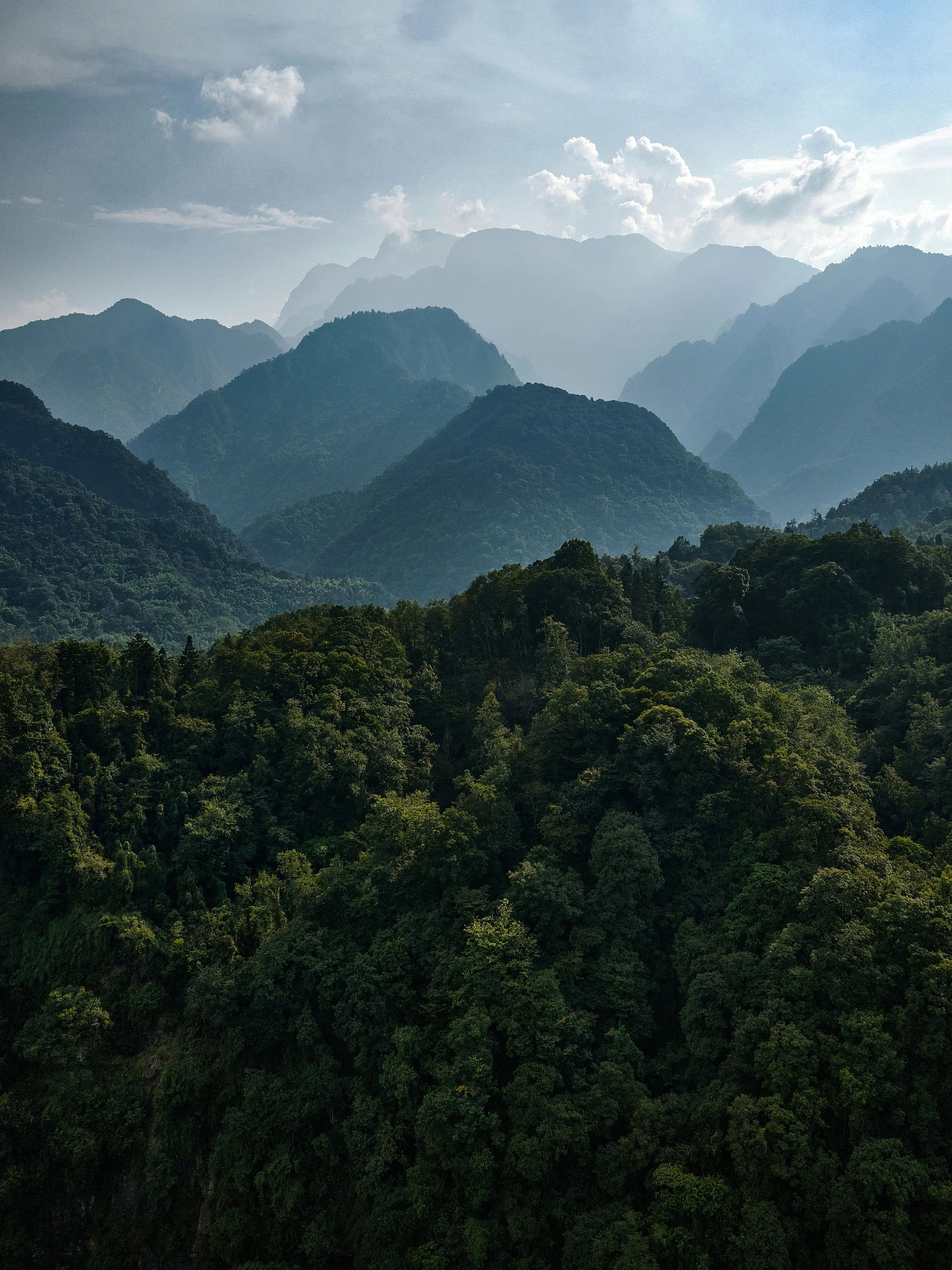 2025.08.05-06_MDO_Emeishan_Zoland_0001_HI-RES.jpg