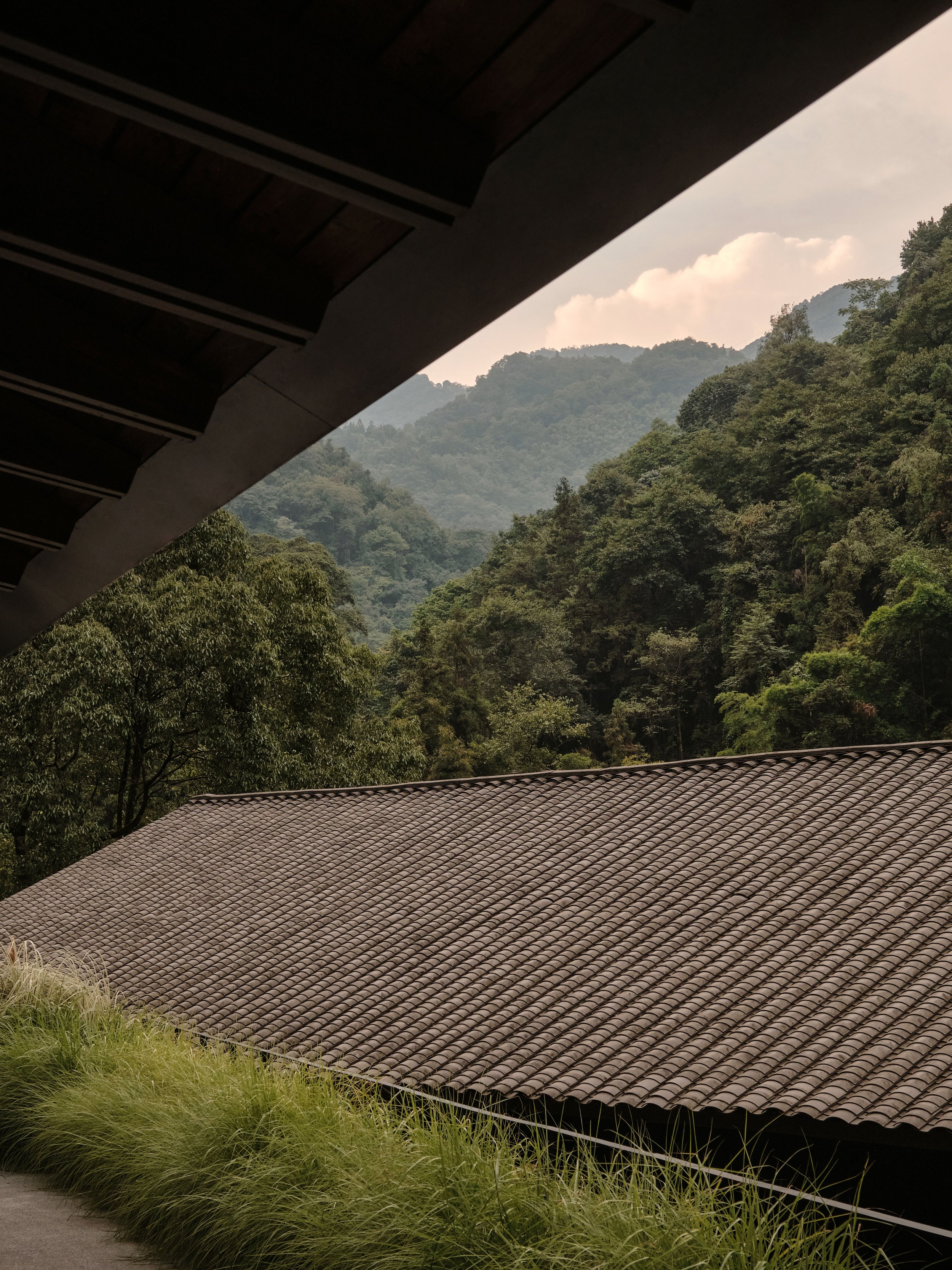 2025.08.05-06_MDO_Emeishan_Zoland_0180_HI-RES.jpg