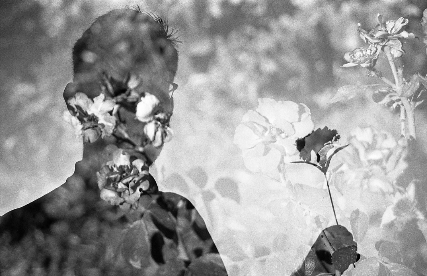 B&W328.jpg