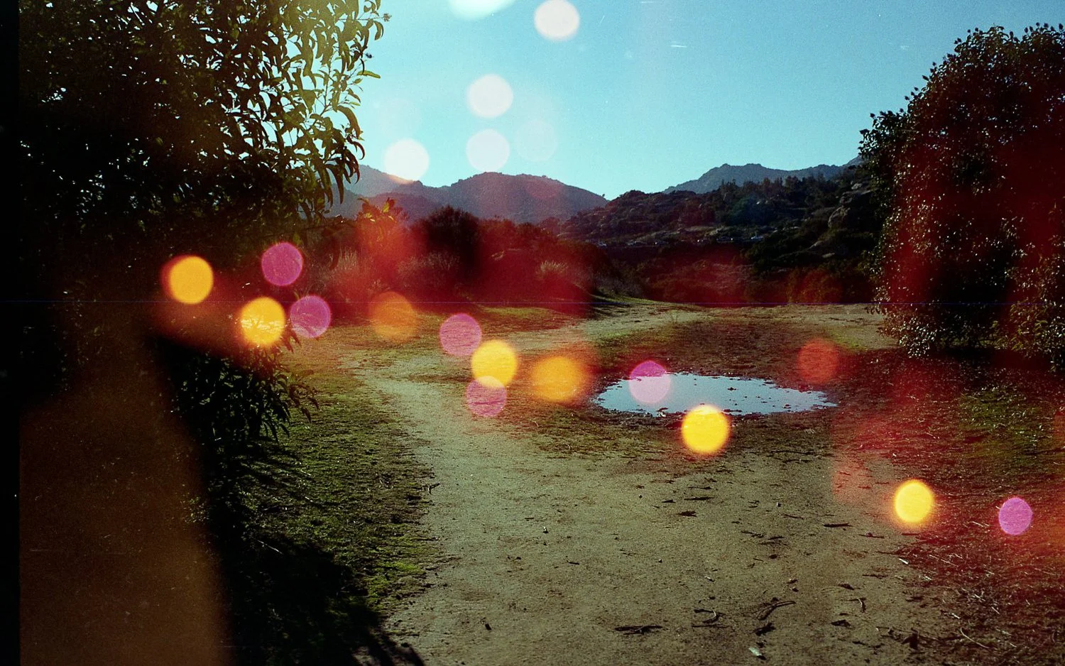 CoverImage4 (28 of 30).jpg