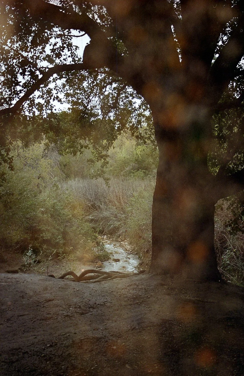 CoverImage4 (25 of 30).jpg