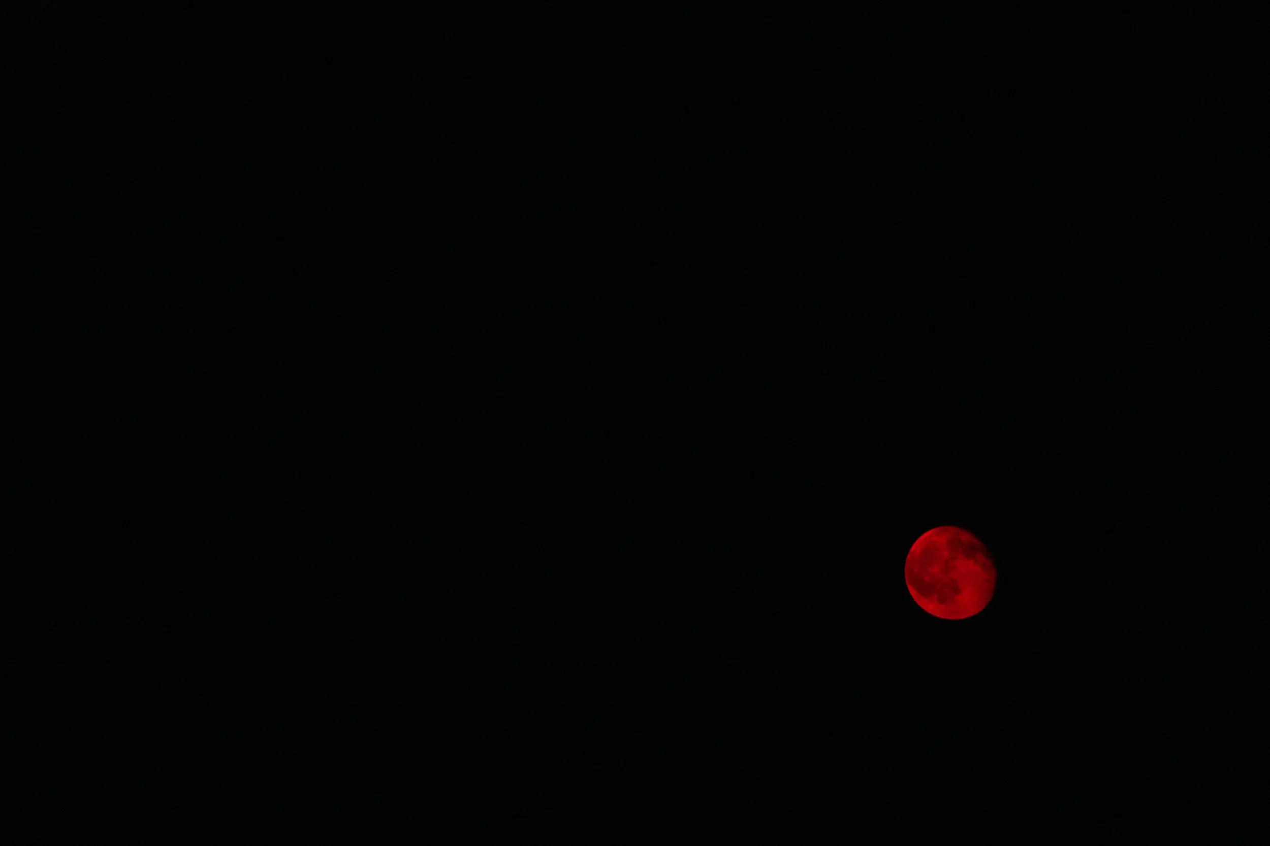 DSC01683.JPG