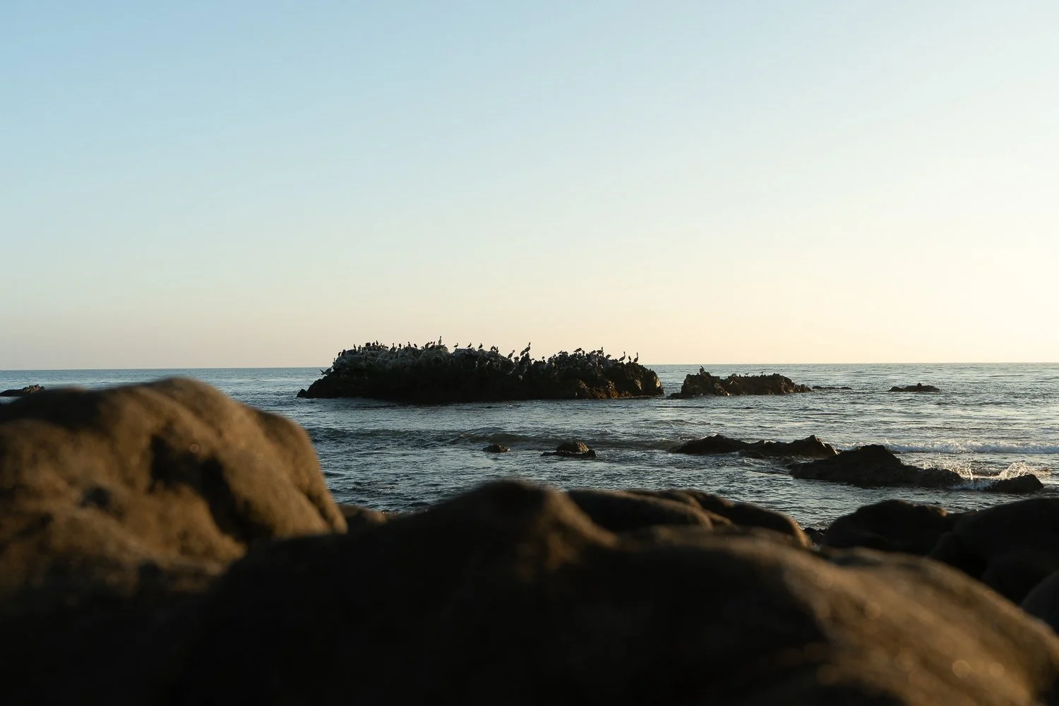 CoverImage4 (15 of 30).jpg