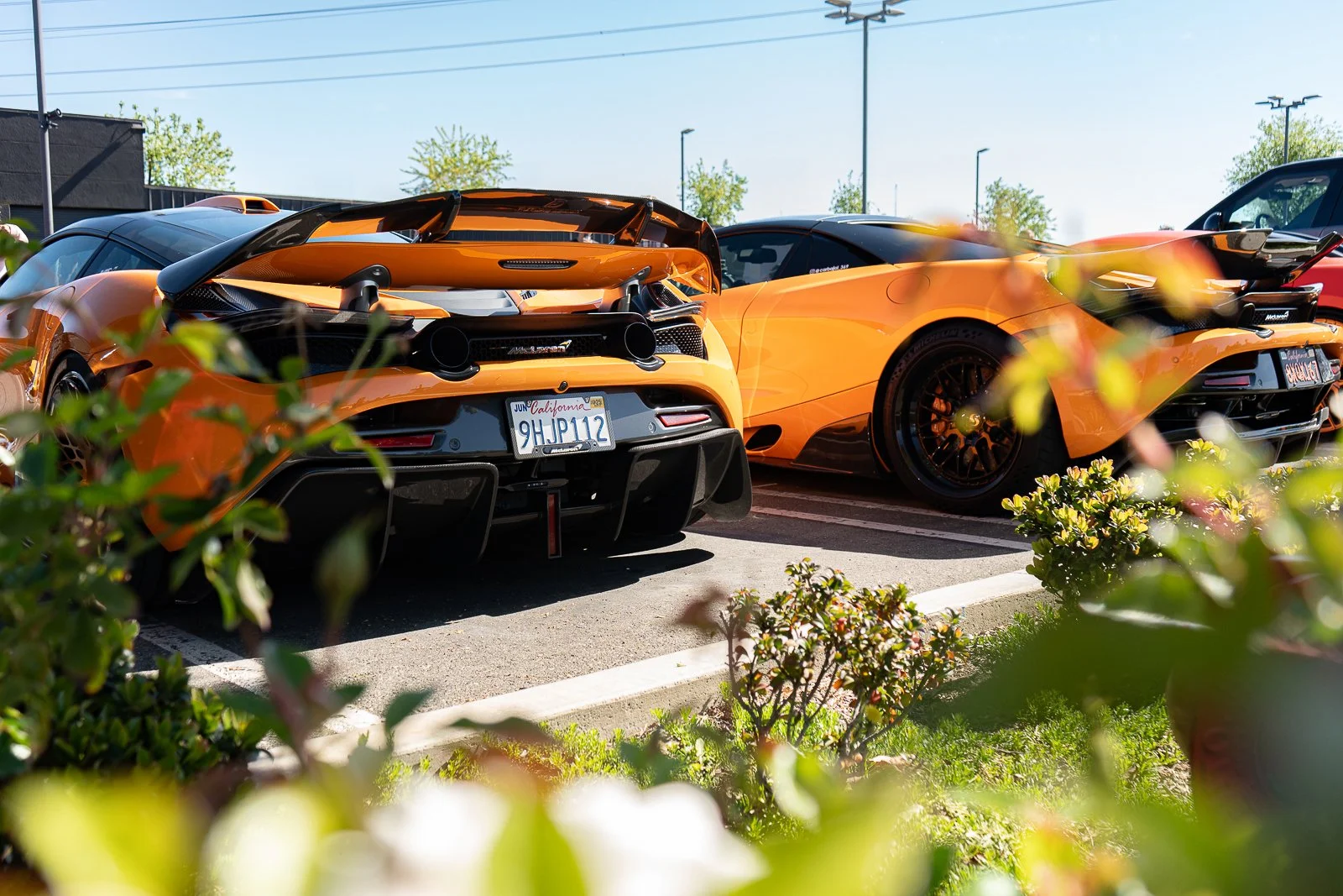 Orange Maclarens.jpg