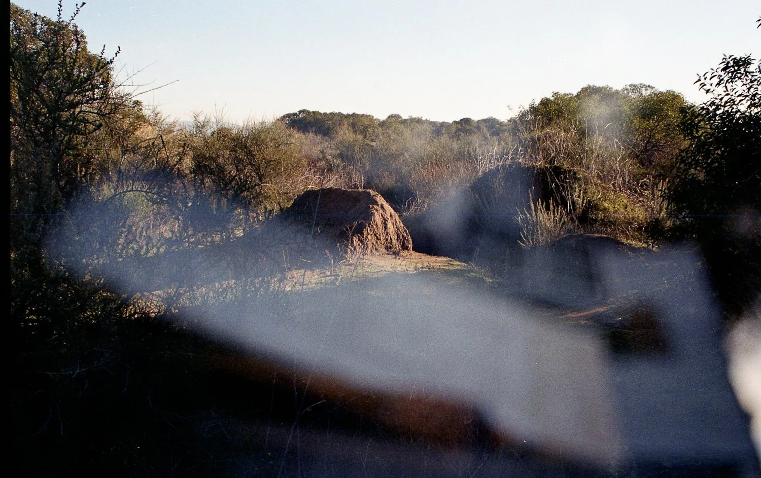 CoverImage4 (27 of 30).jpg
