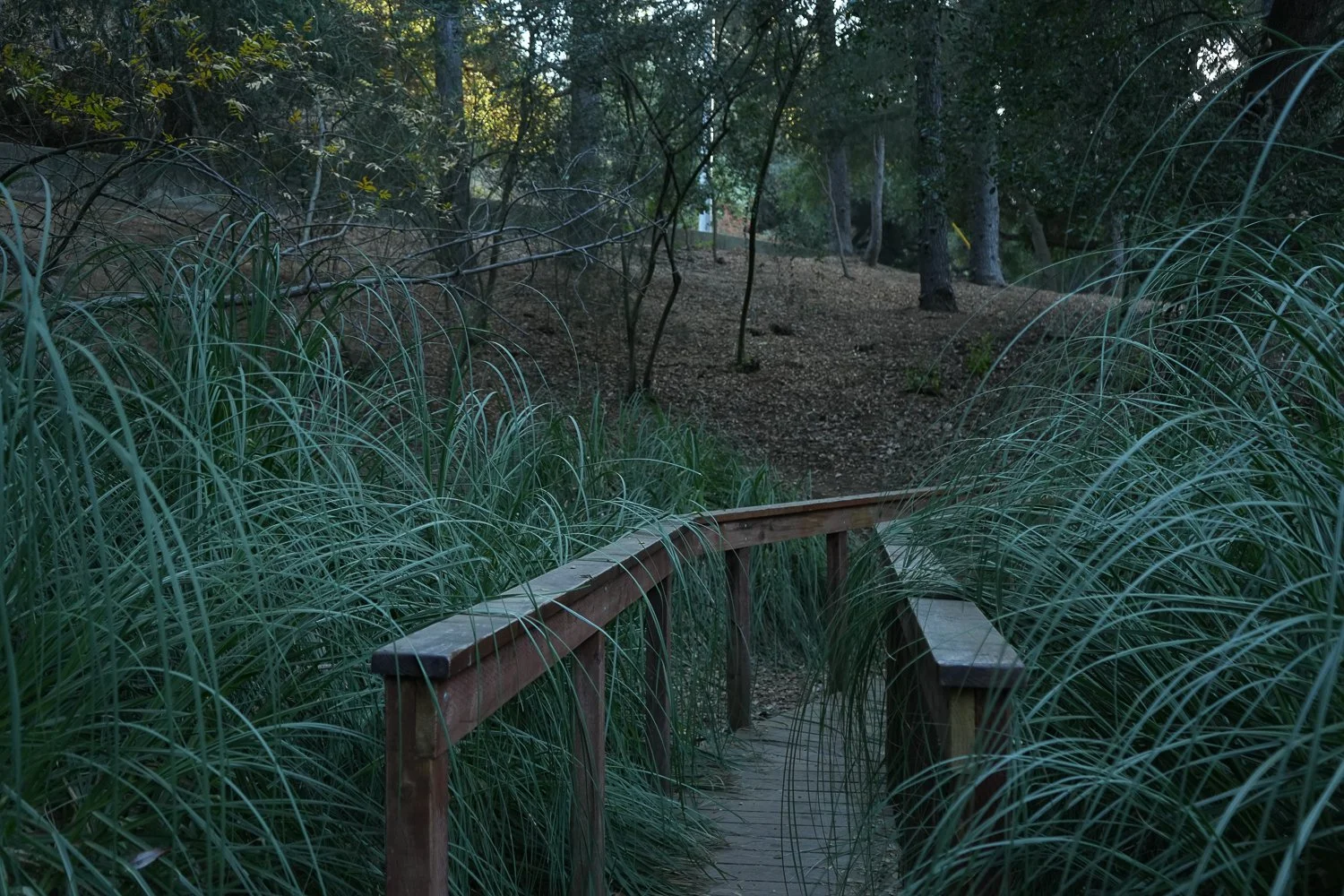 CoverImage4 (1 of 22).jpg