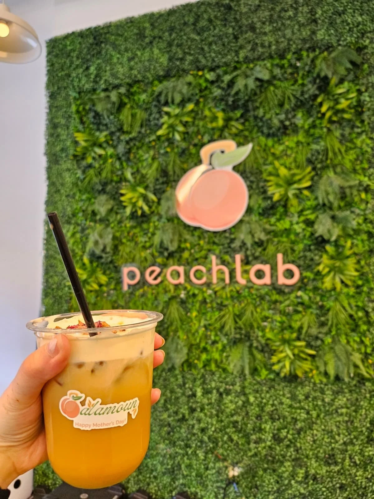 Hand holding a peach-flavored drink with ice and a black straw in front of a green leafy wall with the 'peachlab' logo and a peach illustration.