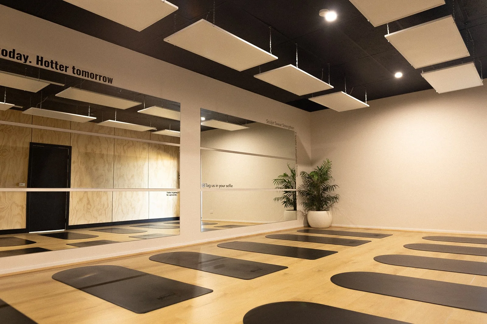 Hot Mess Pilates heated mat studio with personalised mats on a wooden floor, a large mirror on the wall, a potted plant in the corner and a ply feature wall.