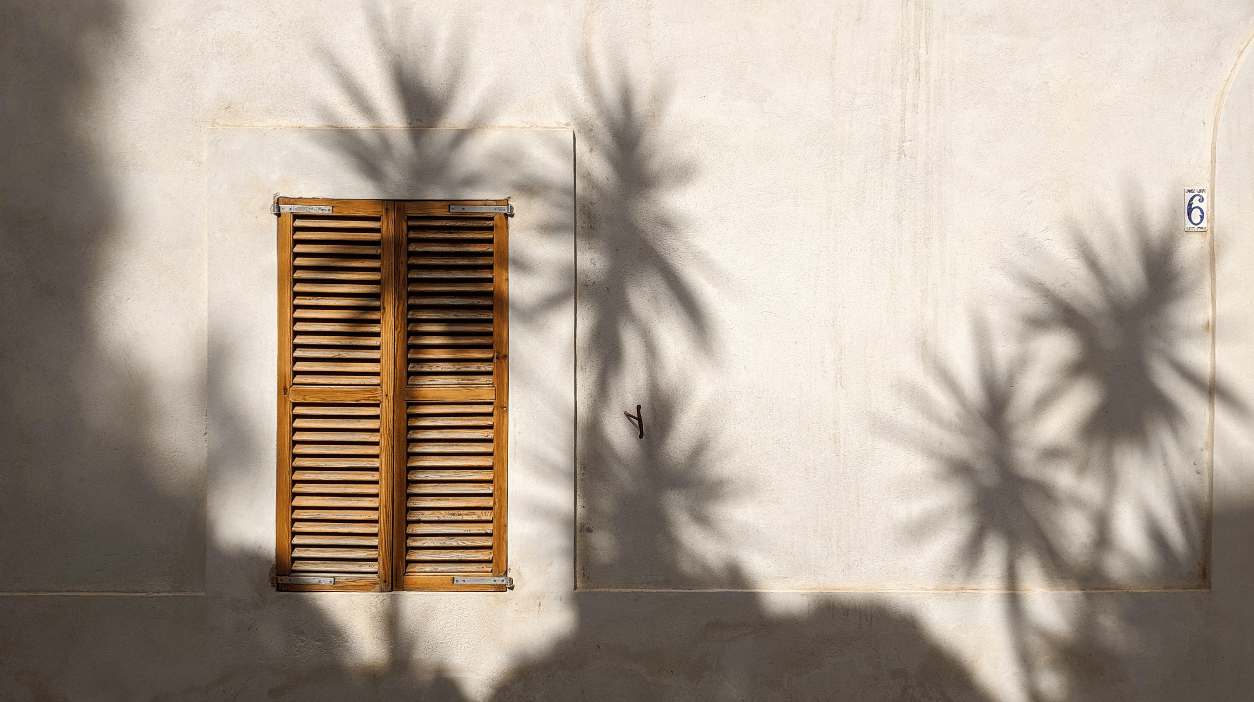 Warm sunlight casting palm shadows across a neutral wall with wooden shutters, creating a peaceful and slow living atmosphere.