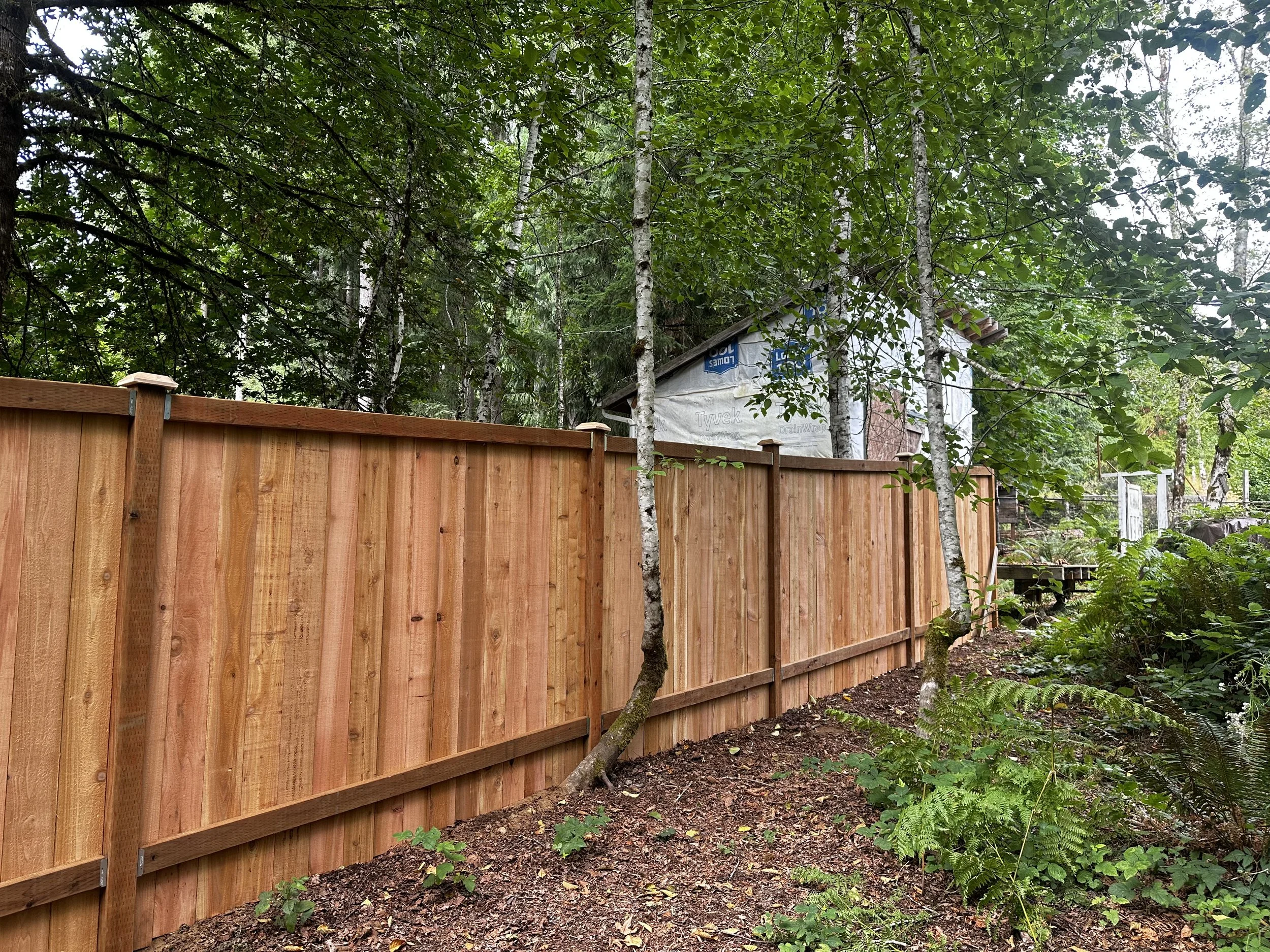fence1.jpeg