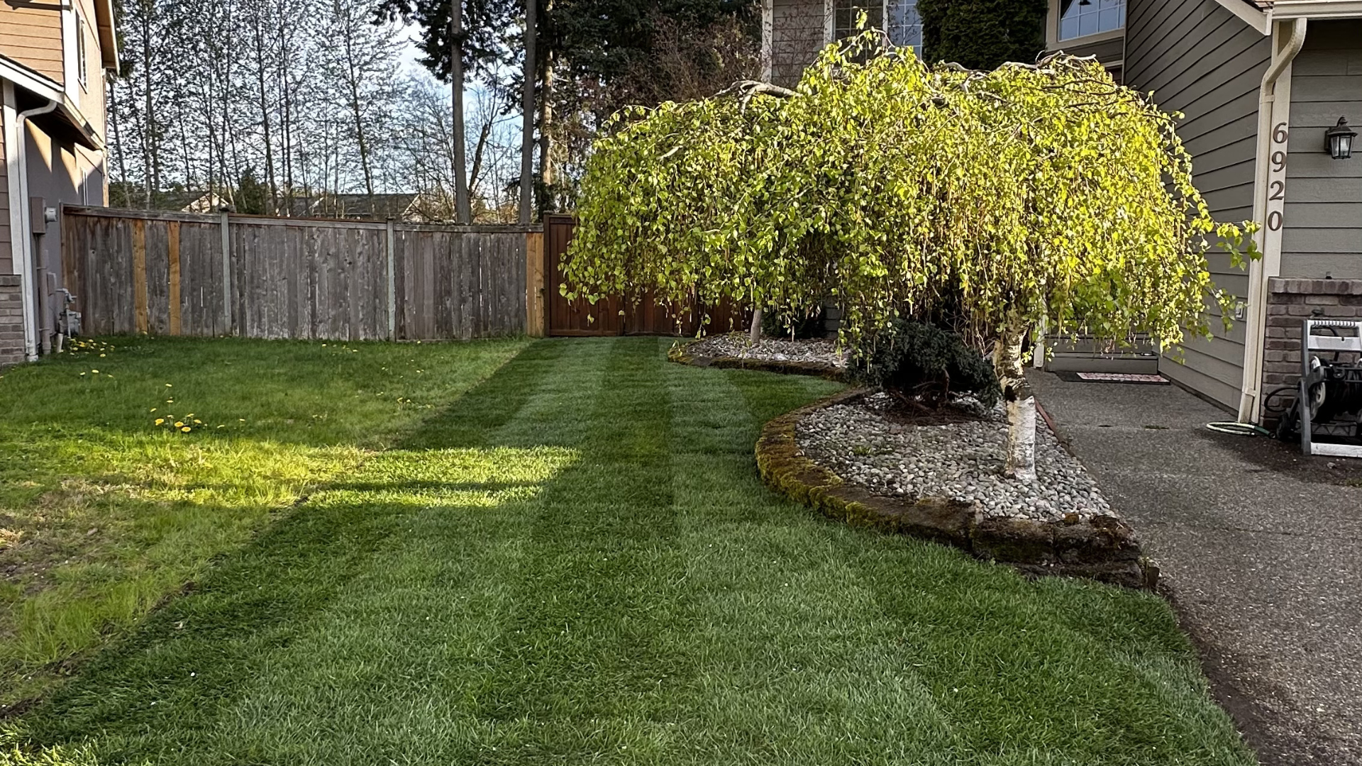New Sod