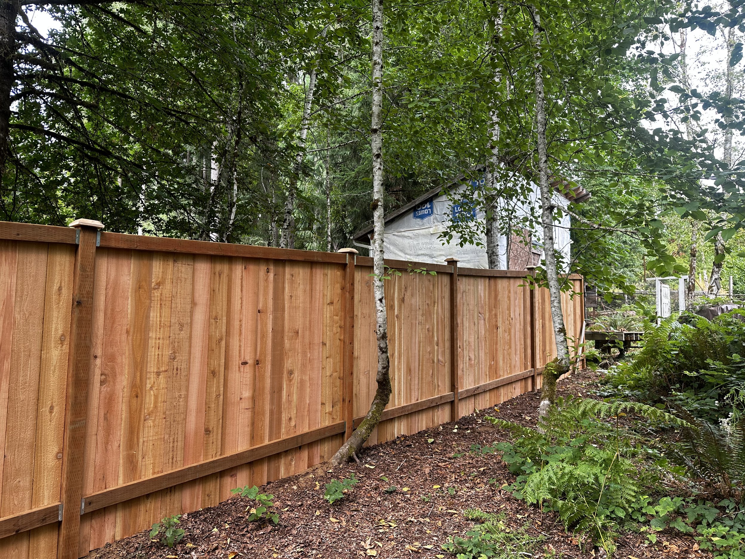 fence1.jpeg