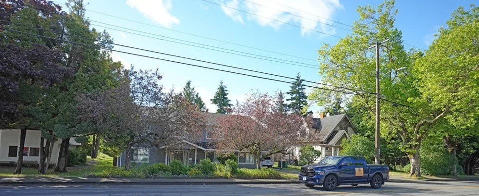 Saanich developers to replant trees based on canopy target under new model