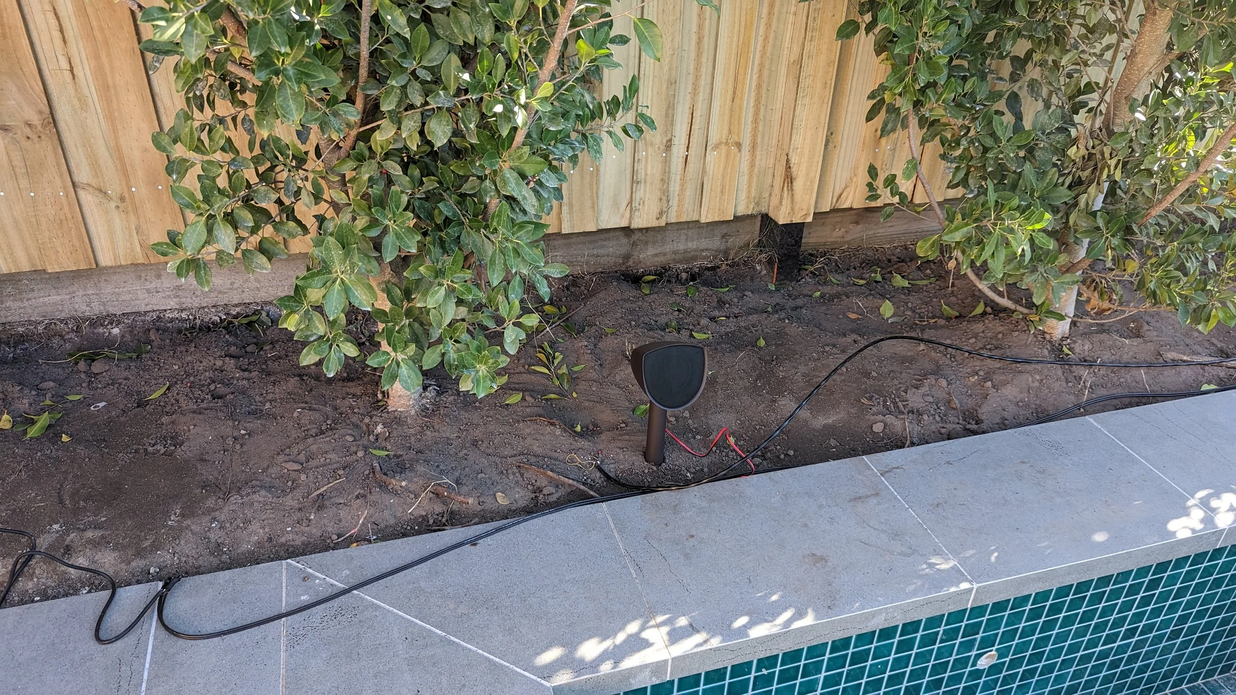A garden area with two leafy bushes against a wooden fence, soil ground, and a small black wireless speaker connected to red and black wires on the ground near tiled flooring.