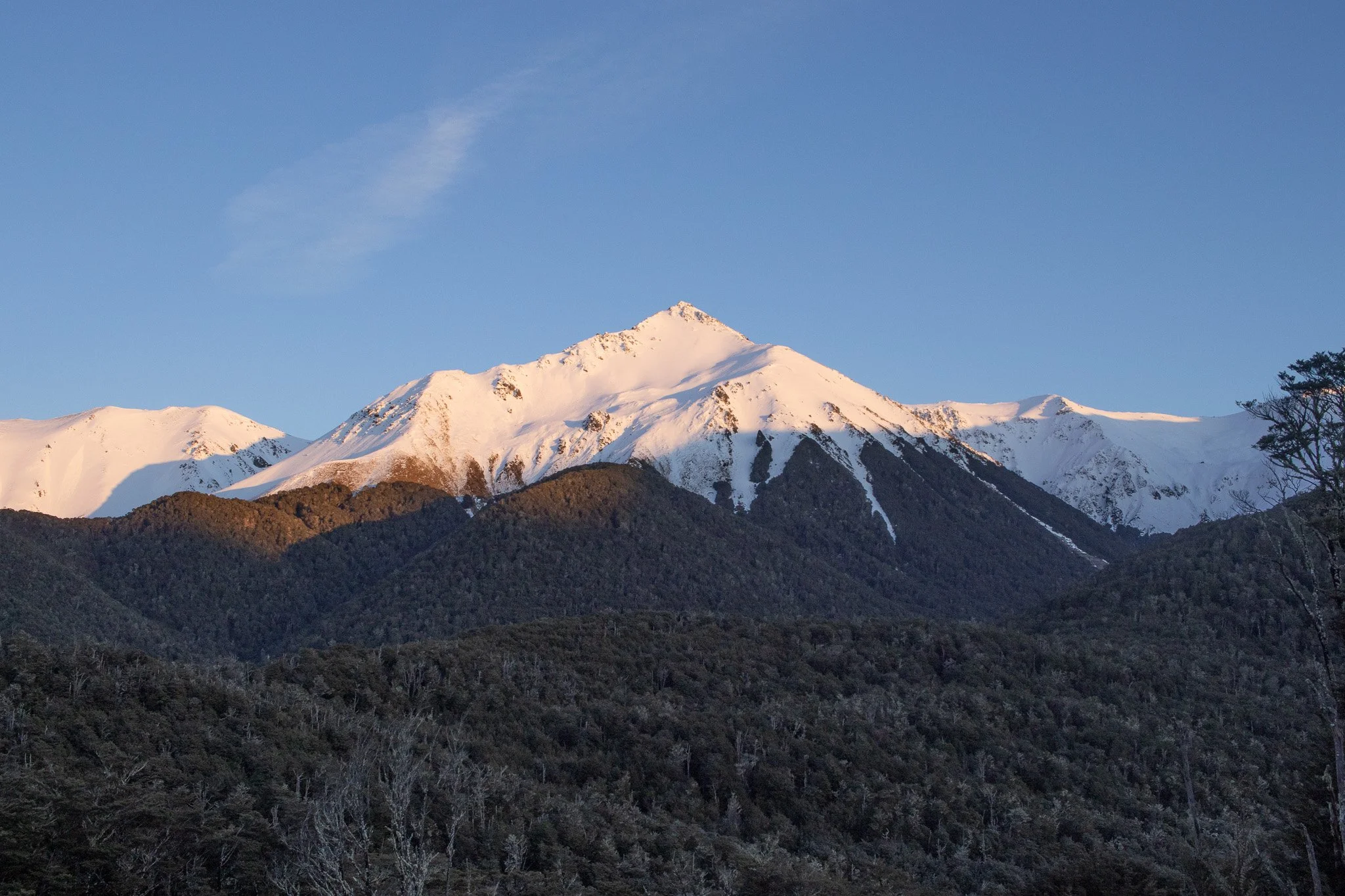 Snow-capped mountain peaks with dark forested slopes in the foreground and a clear blue sky above.